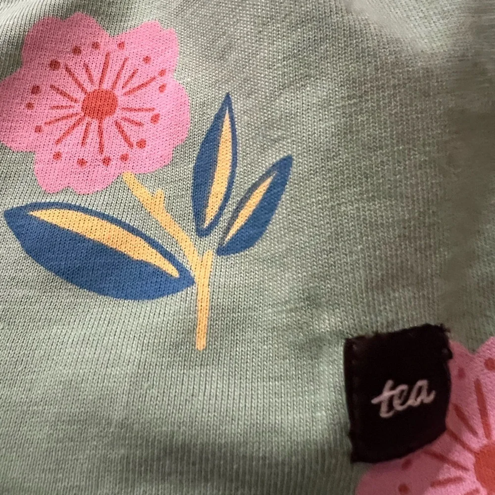 Tea Collection Green Dress with Pink Floral Design Size 12-18 Months